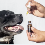 Essential Cbd Extract For Pets -  forum - prix - Amazon - composition - avis - en pharmacie