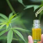 Cannabis Oil - Celeiro - Infarmed - onde comprar - Portugal - como tomar - testemunhos