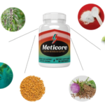 what is Meticore supplement - does it really work - results - cost - price - side effect